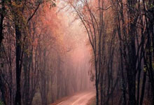 雷速体育app-关于美网翻盘蒙特卡洛大师赛，穆雷关键制胜的信息