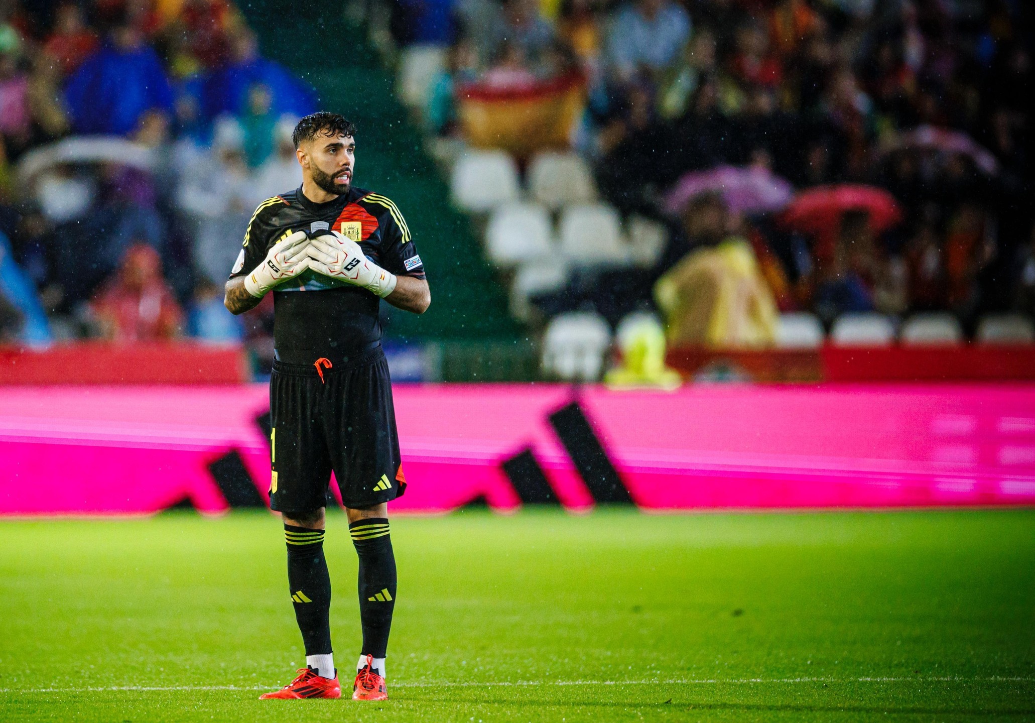 关于西班牙人主场告捷,反弹起步的信息 关于西班牙人主场告捷,反弹起步的信息