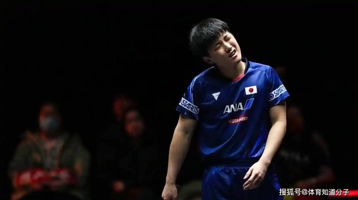 中国乒乓球队完胜日本乒乓球队,张本智和爆发神勇的简单介绍 中国乒乓球队完胜日本乒乓球队,张本智和爆发神勇的简单介绍